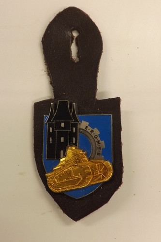 France military badge vietnam - france,