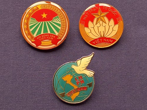 Vietnam badges army - badges, army,