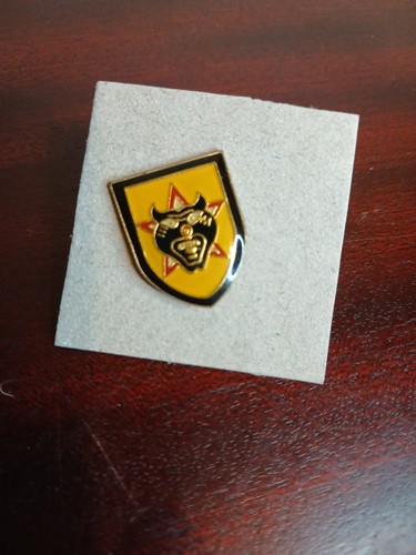 Vietnam ranger lapel badge - lapel,