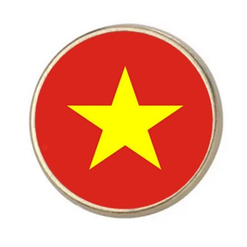 Vietnam silver colour round - colour,