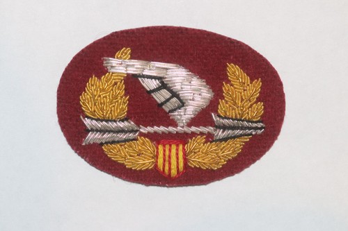 Vietnam arvn ranger - arvn, beret